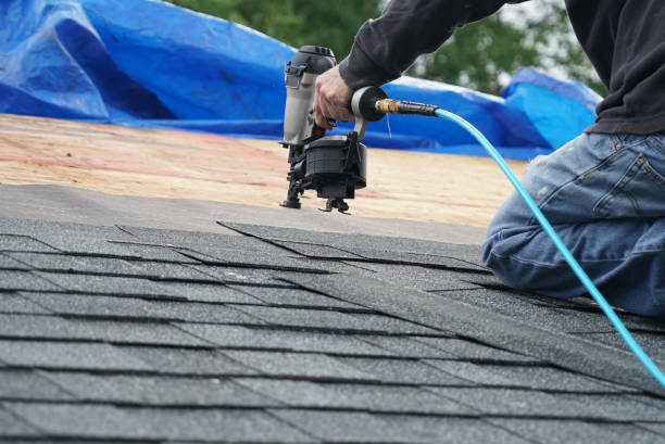 Best Metal Roofing Contractor  in Kidron, OH